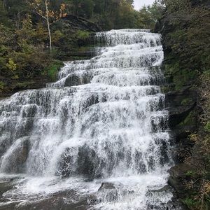 Meet your Posher, Holly